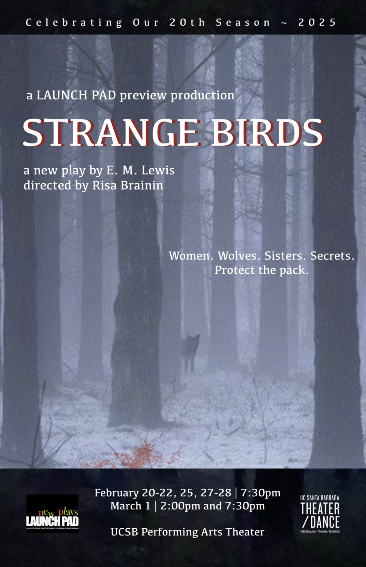 poster for Strange Birds